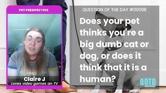 Video thumbnail for Claire's cats know that she's human and they're cats. Very smart!