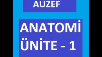 'Video thumbnail for Anatomi Ünite 1 Not ve Sorular  (ANATOMİYE GİRİŞ VE TERMİNOLOJİ) 25. Sorunun Cevabı :ABDUKSİYON'