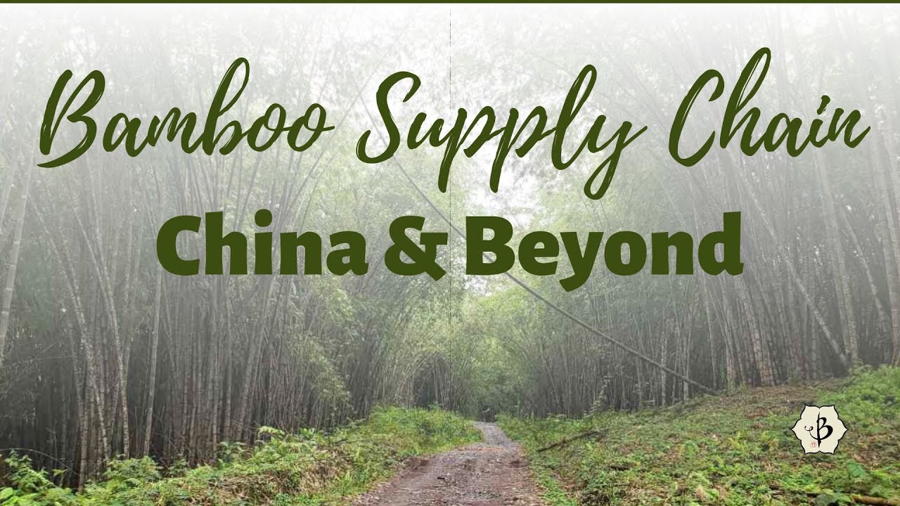 'Video thumbnail for Bamboo Supply Chain: China and Beyond'
