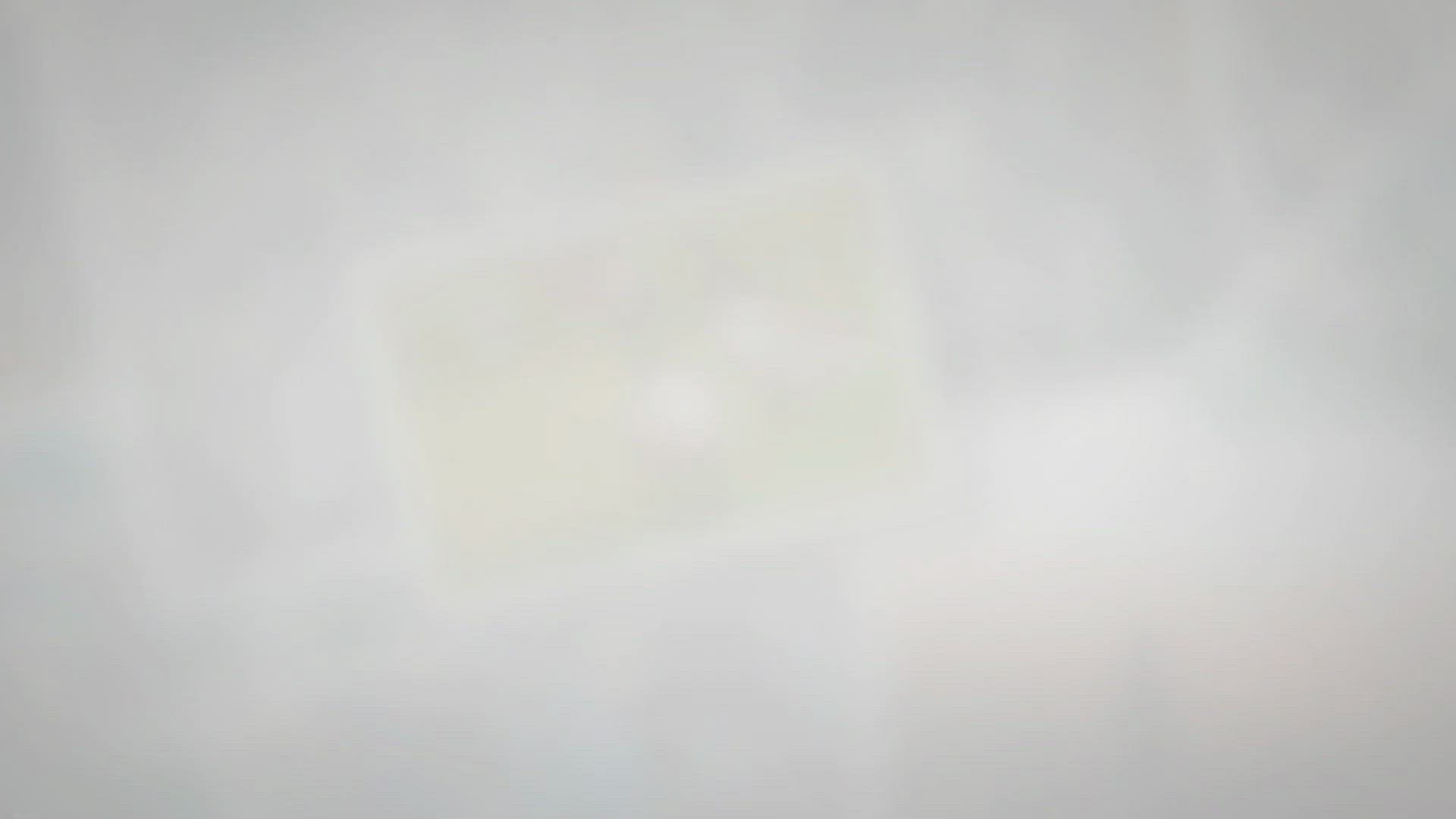 Video thumbnail for Do Geese Mate for Life?