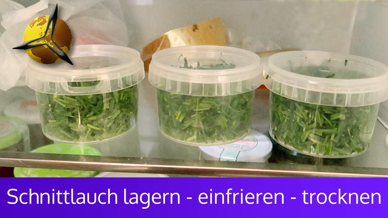 'Video thumbnail for Schnittlauch lagern - einfrieren - trocknen'