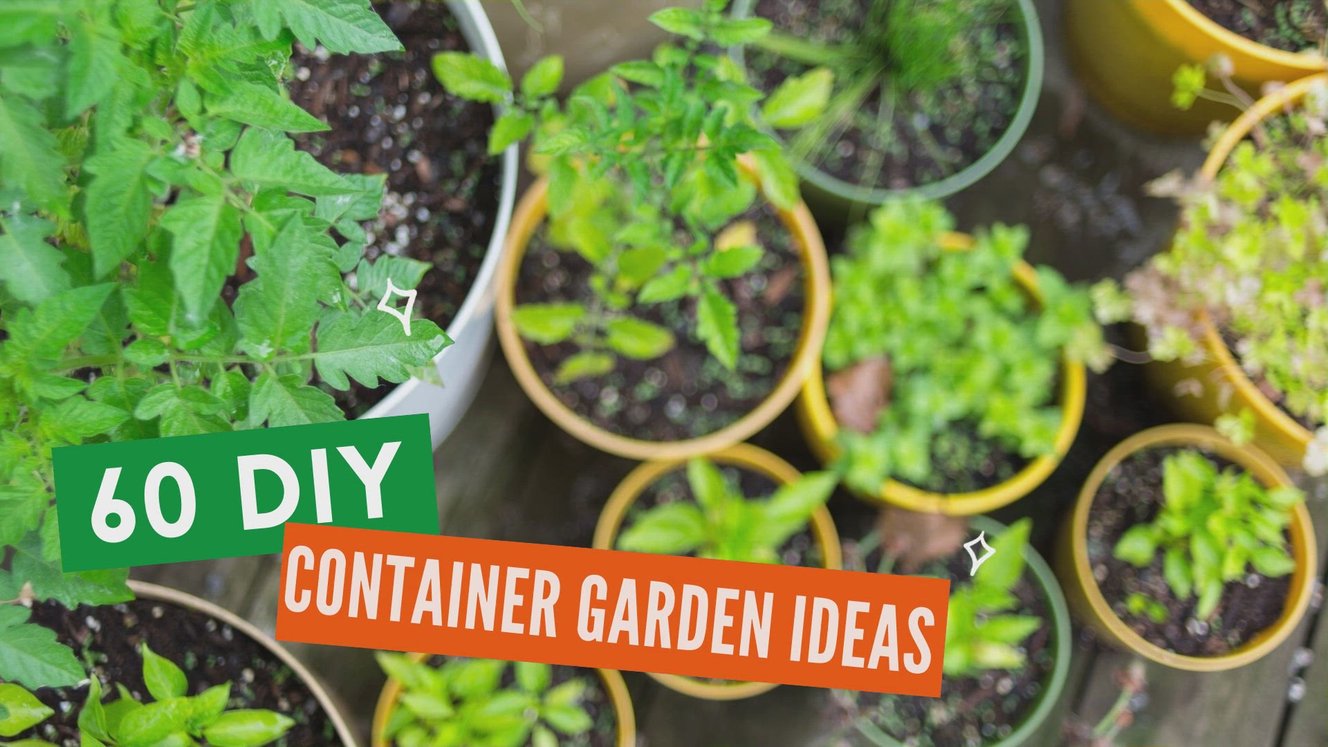12 Container Vegetable Garden Ideas – Home and Garden