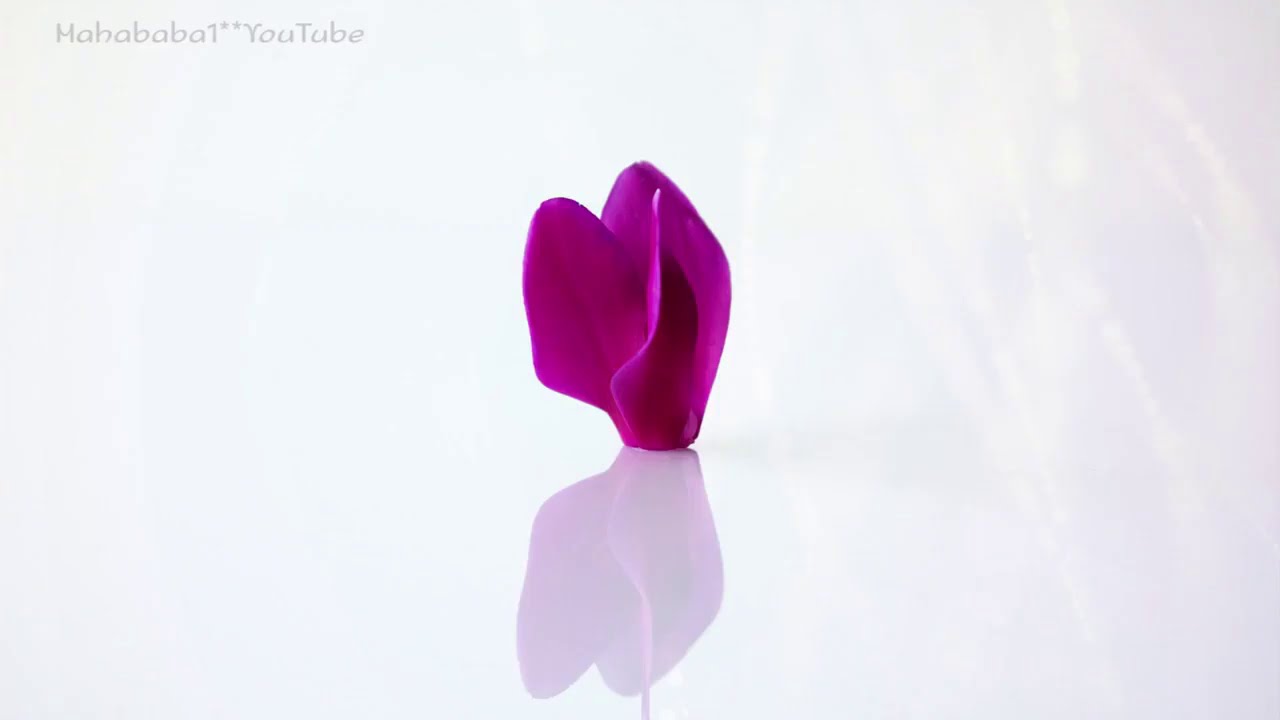 Video thumbnail for Liebe Grüße! #Zitate und #Sprüche über das Leben