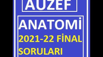 'Video thumbnail for Anatomi 2021-2022 Final Soruları'