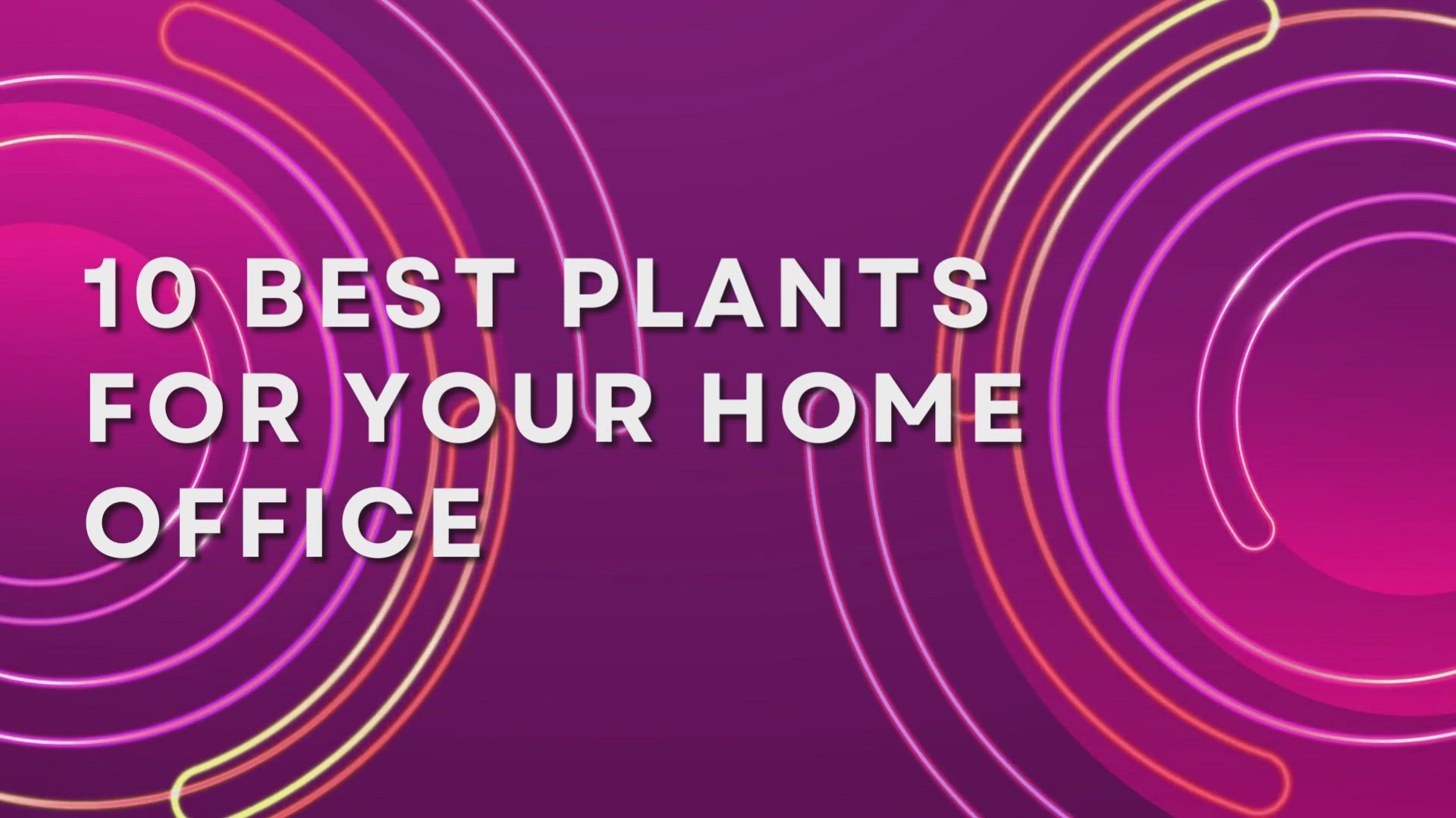 'Video thumbnail for 10 Best Plants For Your Home Office'