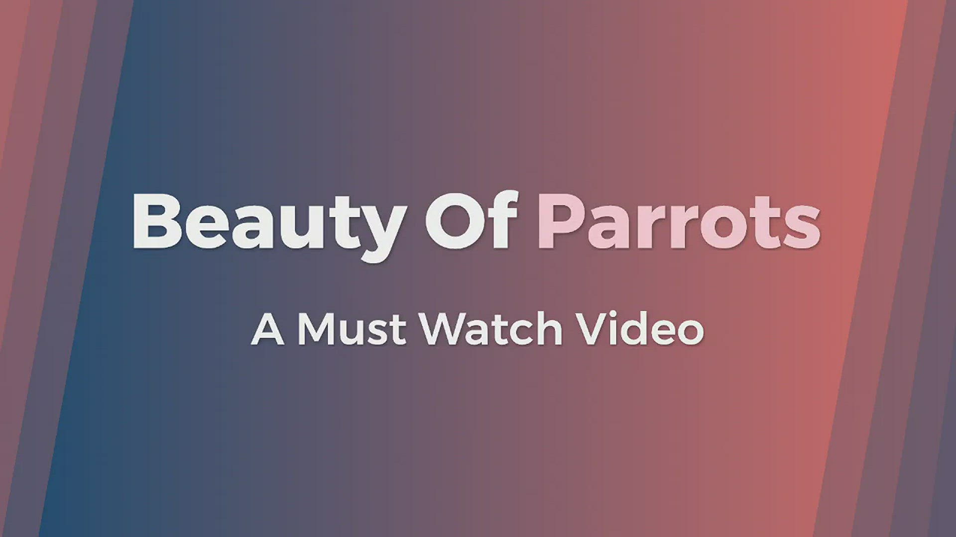 Video thumbnail for All About Parrots