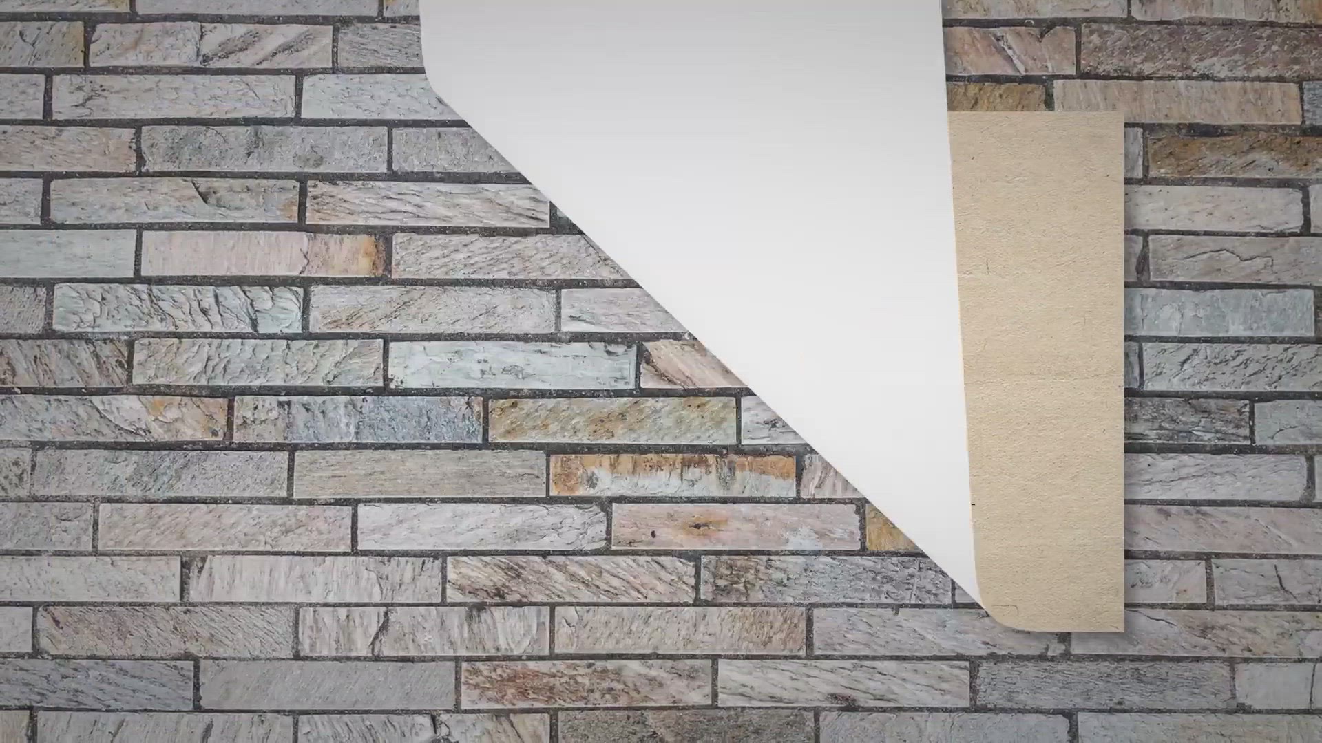 Video thumbnail for Beware of the Capnocytophaga canimorsus infection