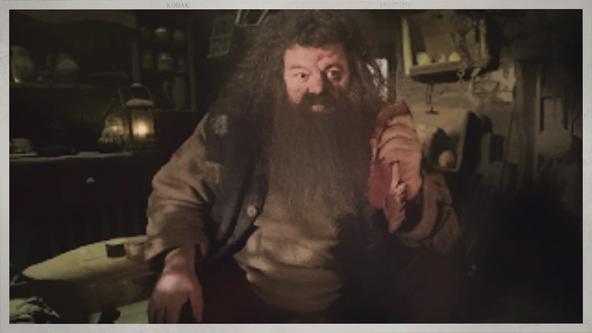 Video thumbnail for Homenagem especial a Robbie Coltrane nosso eterno Hagrid que faleceu hoje aos 72 anos