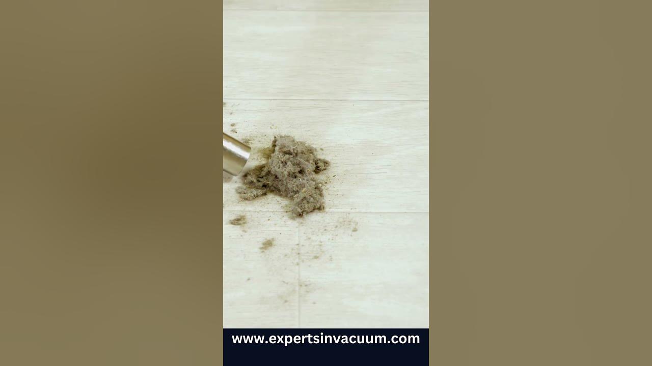 'Video thumbnail for Best Wet & Dry Vacuum Cleaner for workspace #short'