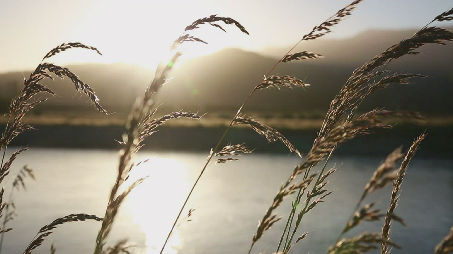 'Video thumbnail for Oración para la mañana'