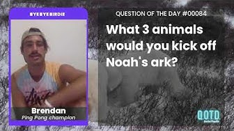 Video thumbnail for Brendan wants tarantulas and flies off his ark. They're not surviving that flood!