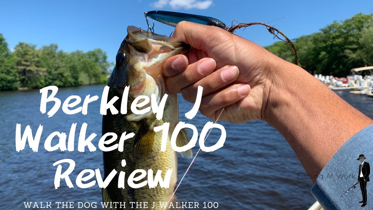 'Video thumbnail for Berkley J Walker 100 Lure Review - Walking The Dog For Largemouth Bass!'