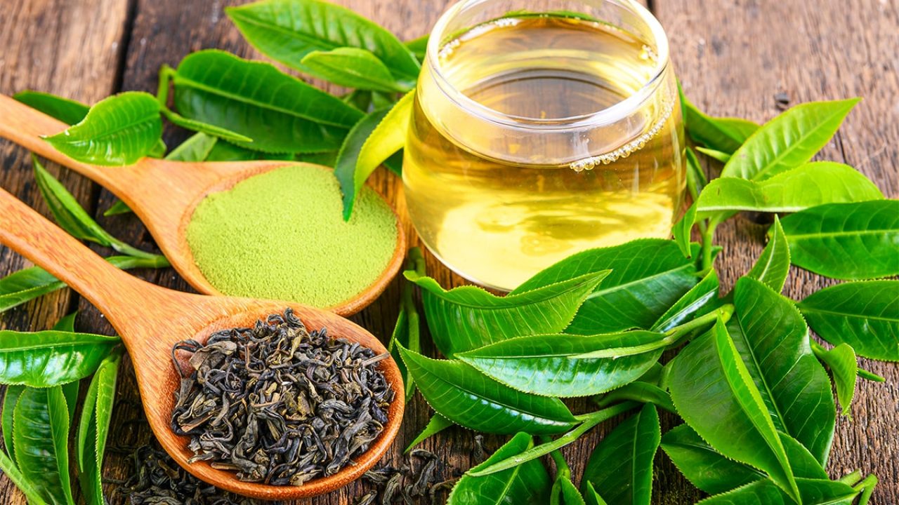 Video thumbnail for The Power of Green Tea Extract: Improving Gut Health and Metabolic Syndrome