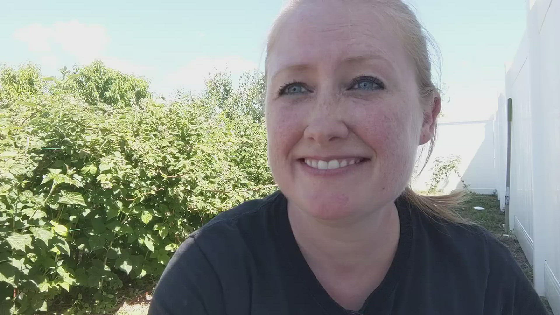 'Video thumbnail for Raspberry Bushes, Sun, and Shade Requirements'