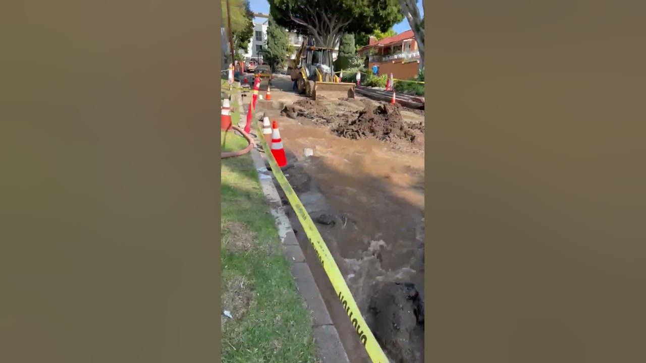 Video thumbnail for MOV 1221