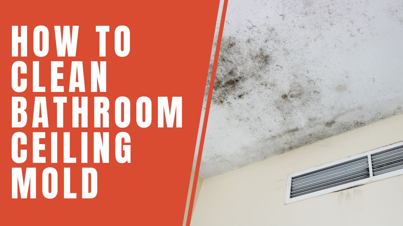 'Video thumbnail for How to Clean Bathroom Ceiling Mold? '