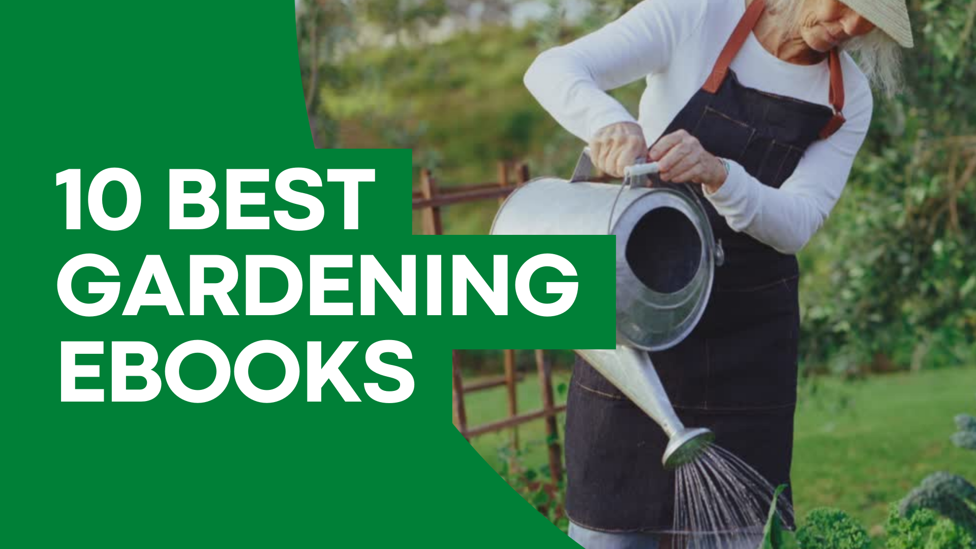 Video thumbnail for 10 Best Gardening eBooks for Beginners