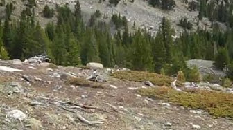 'Video thumbnail for Views from Mt. Yale'