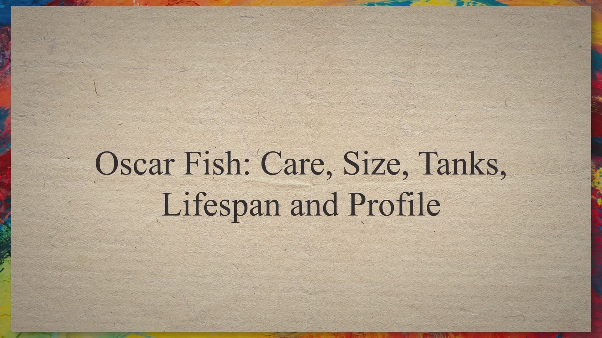 Platy Fish: Care, Lifespan, Food & Tank Mates of Platies