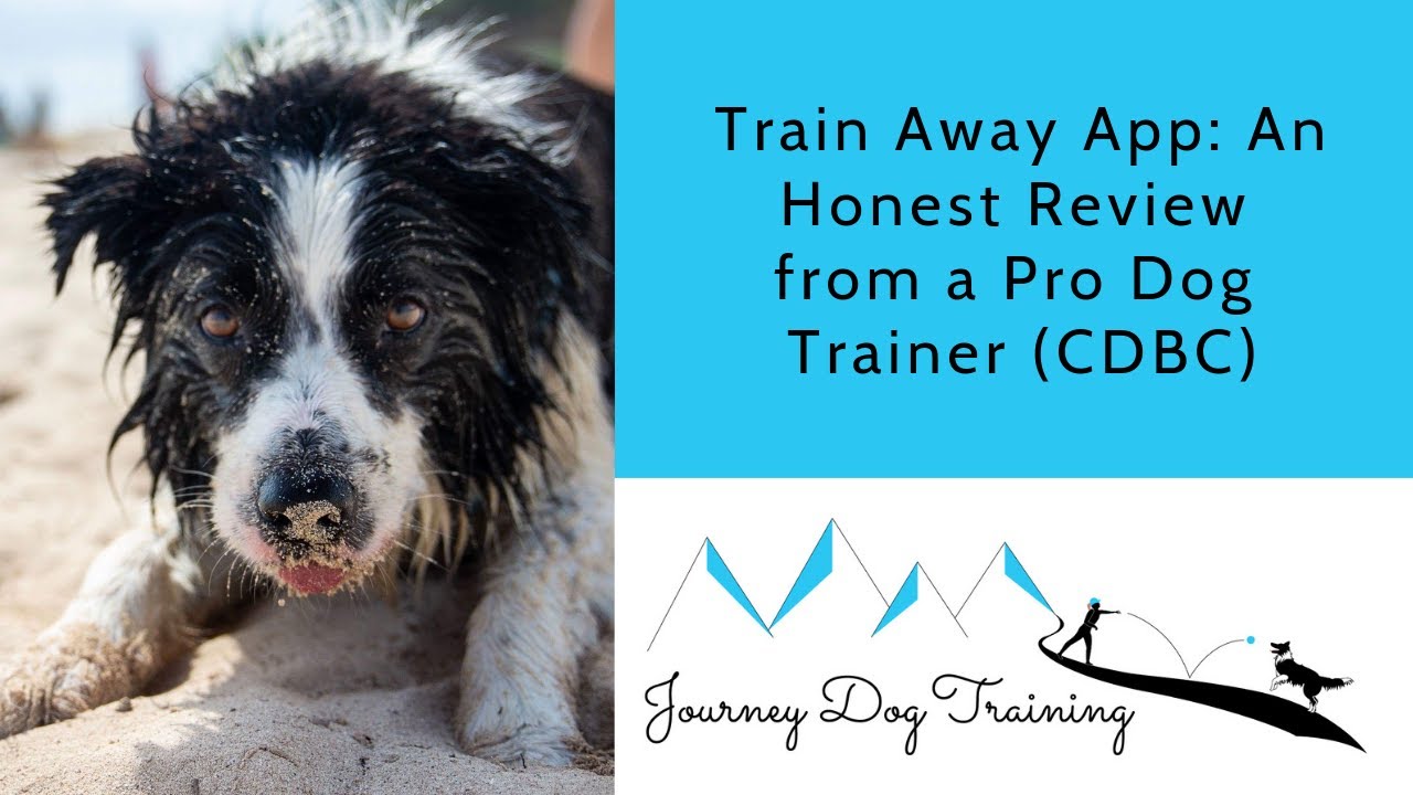 'Video thumbnail for Train Away App: An Honest Review from a Pro Dog Trainer (CDBC)'