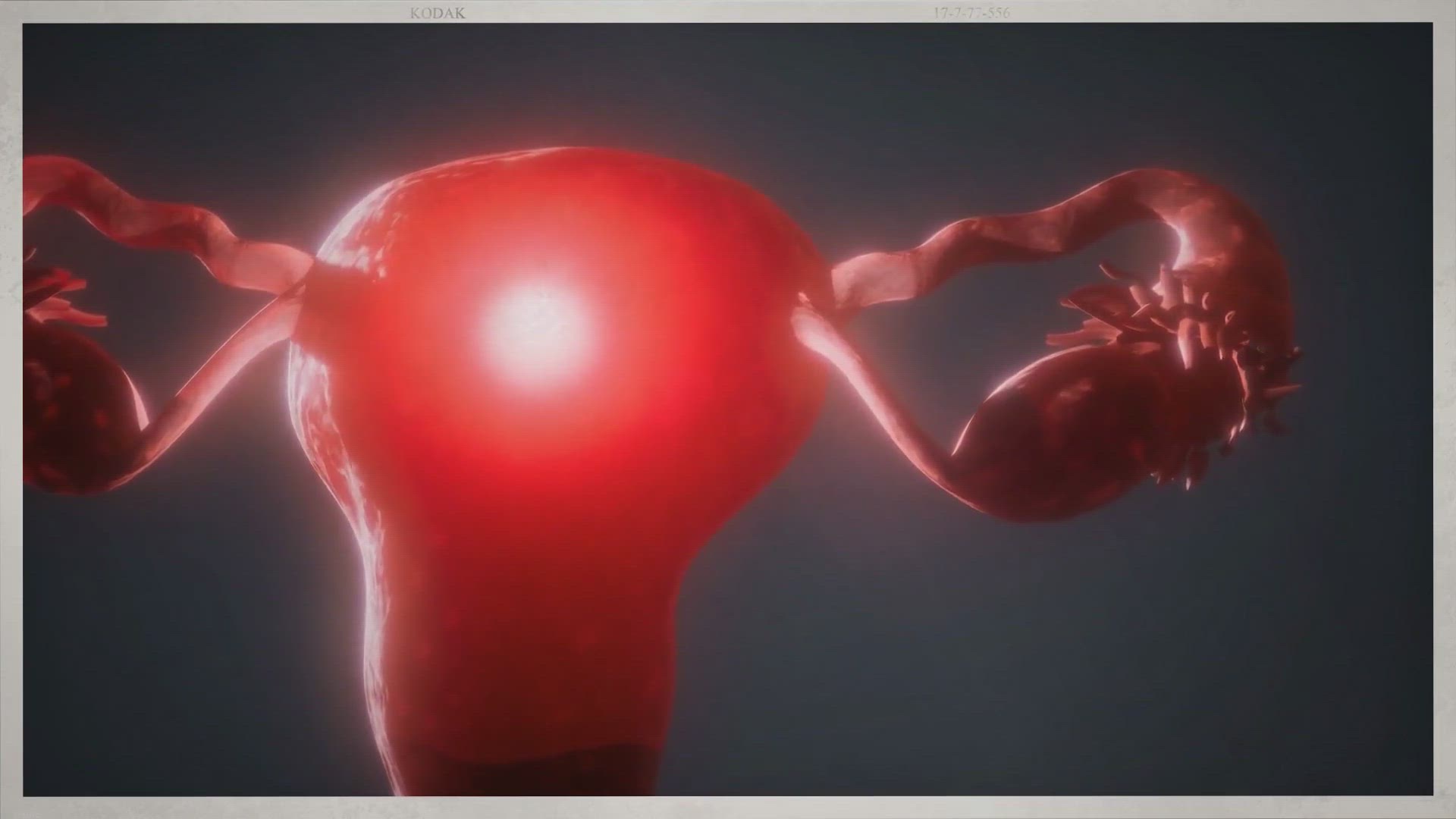 'Video thumbnail for How to Know When You're Ready to Get Pregnant - November 27, 2022'