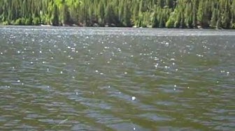 'Video thumbnail for Cottonwood Lake'