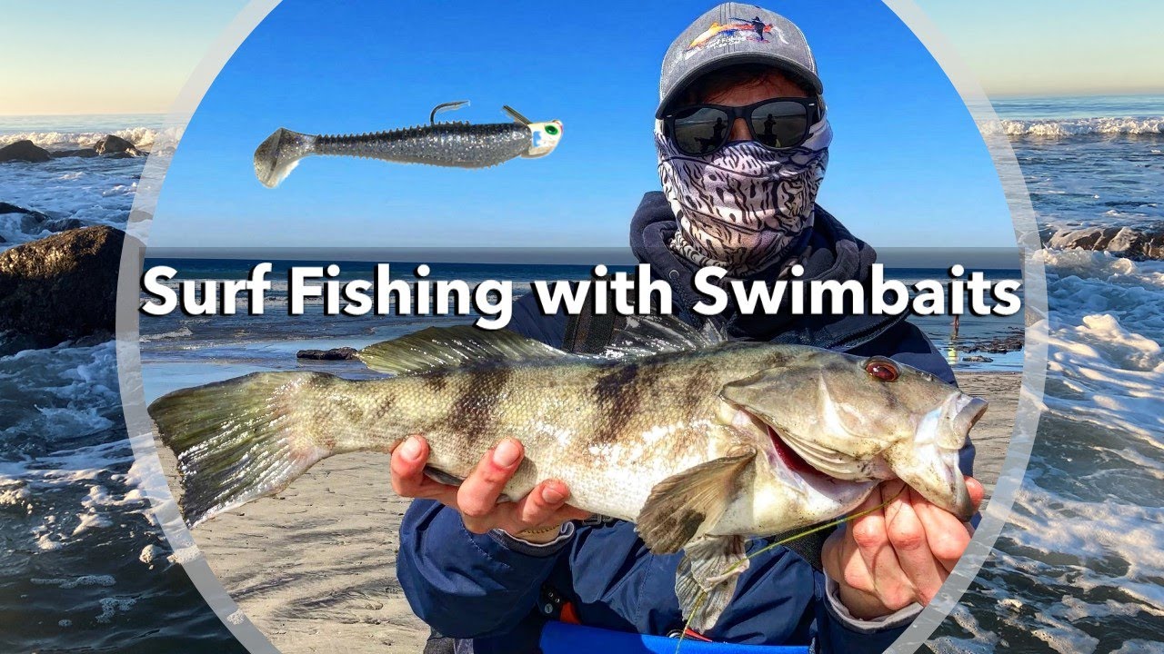 Surf Fishing with Cut Bait: How To and What You Can Catch
