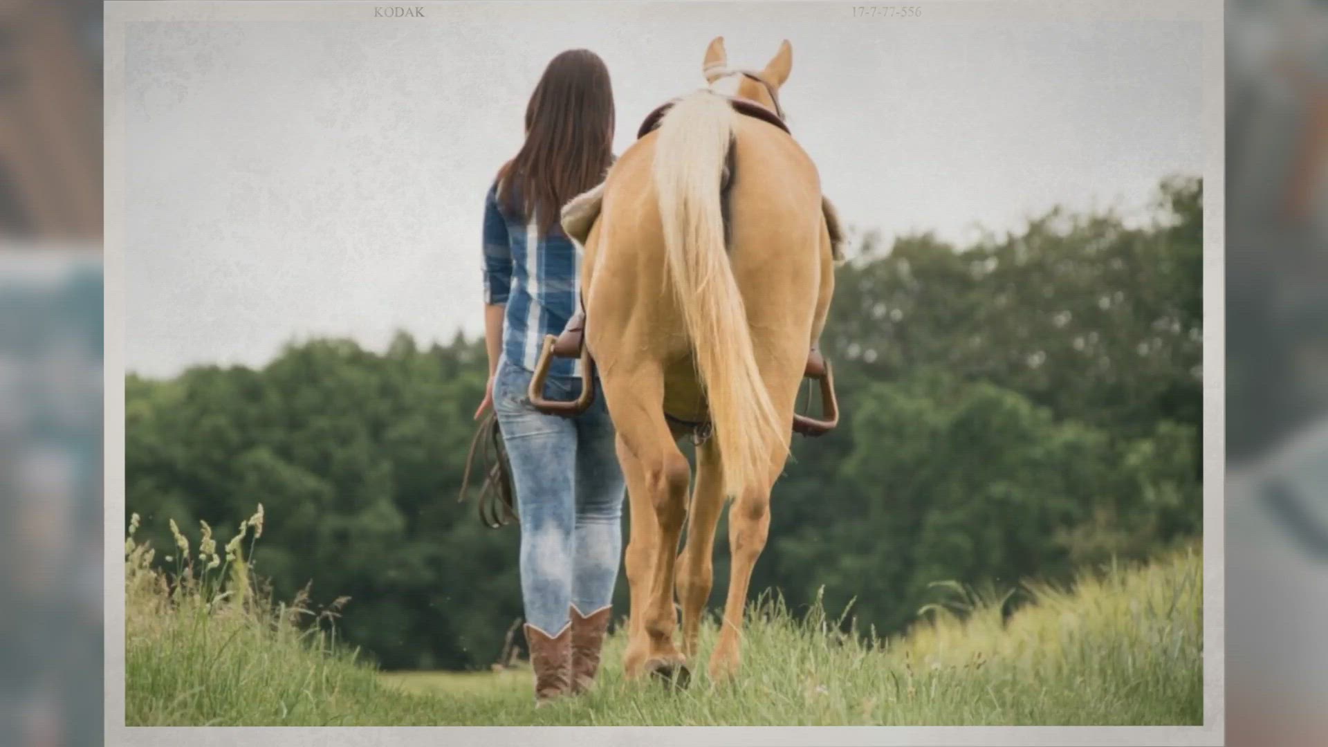 Video thumbnail for What Is A Cello Bow Made Of?