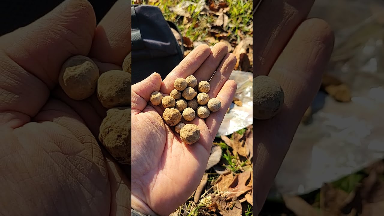 Video thumbnail for I Sure Do Have a Lot of Balls For Doing This!