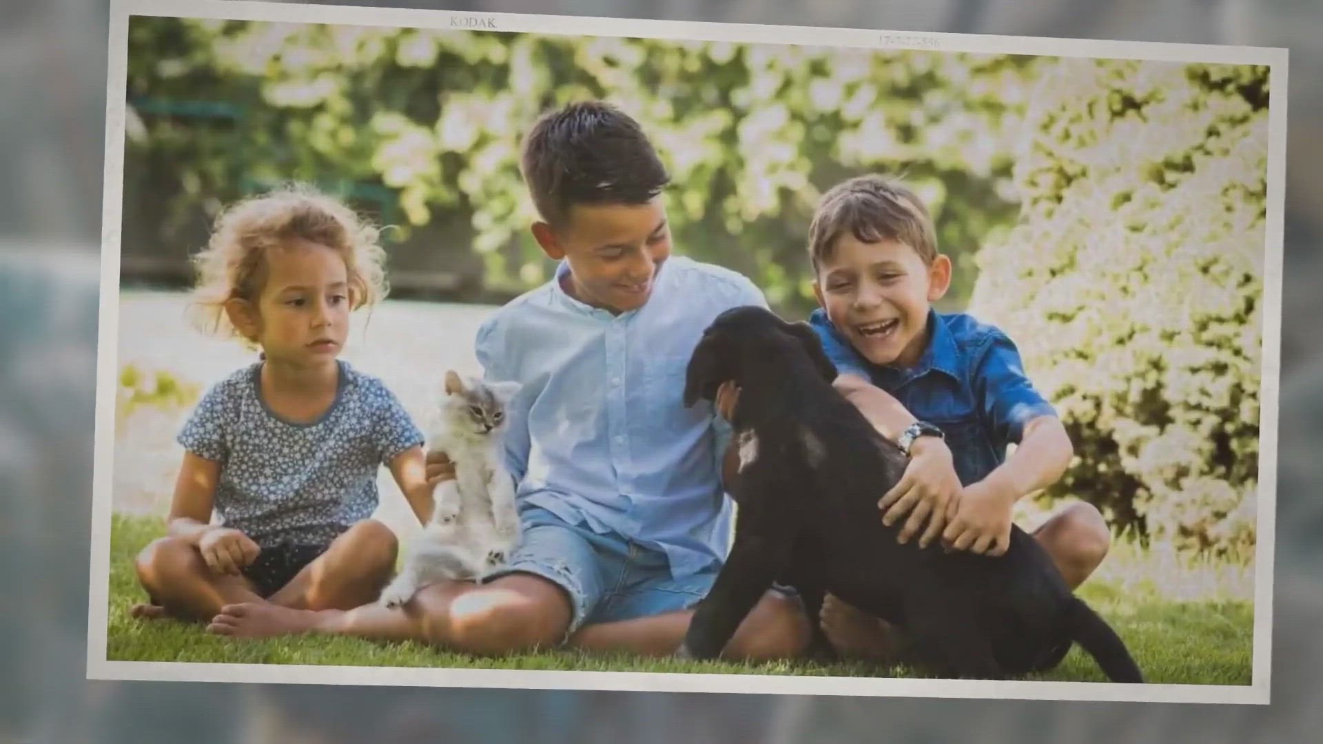 Video thumbnail for Is Dawn Dish Soap Toxic to Humans, Cats, & Dogs? (The Truth)