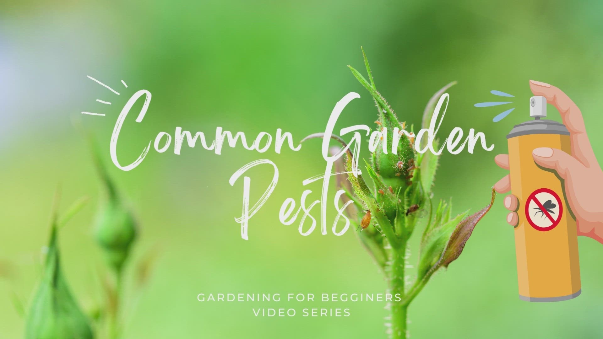 Video thumbnail for 8 Common Garden Pests Staying Ahead of Problems!