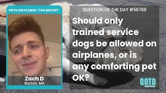 Video thumbnail for Zach supports service cats. Service animals are none of your business!