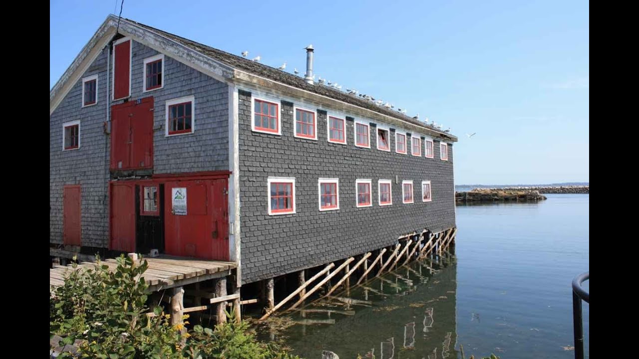 'Video thumbnail for Grand Manan Island, New Brunswick'