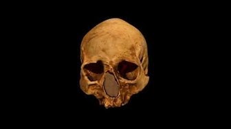 'Video thumbnail for Antropología y Prehistoria: Cráneo Homosapiens - ArteHistoria'