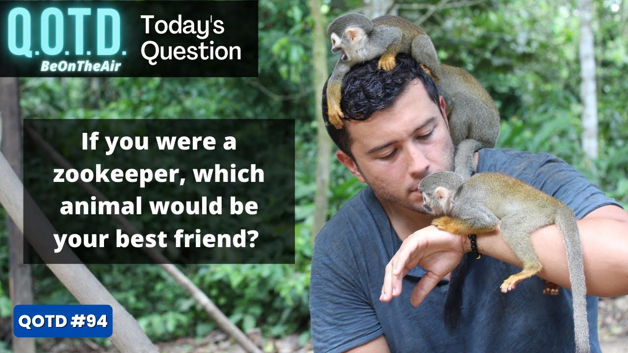 Video thumbnail for Question of the Day  | Your Animal Best Friend