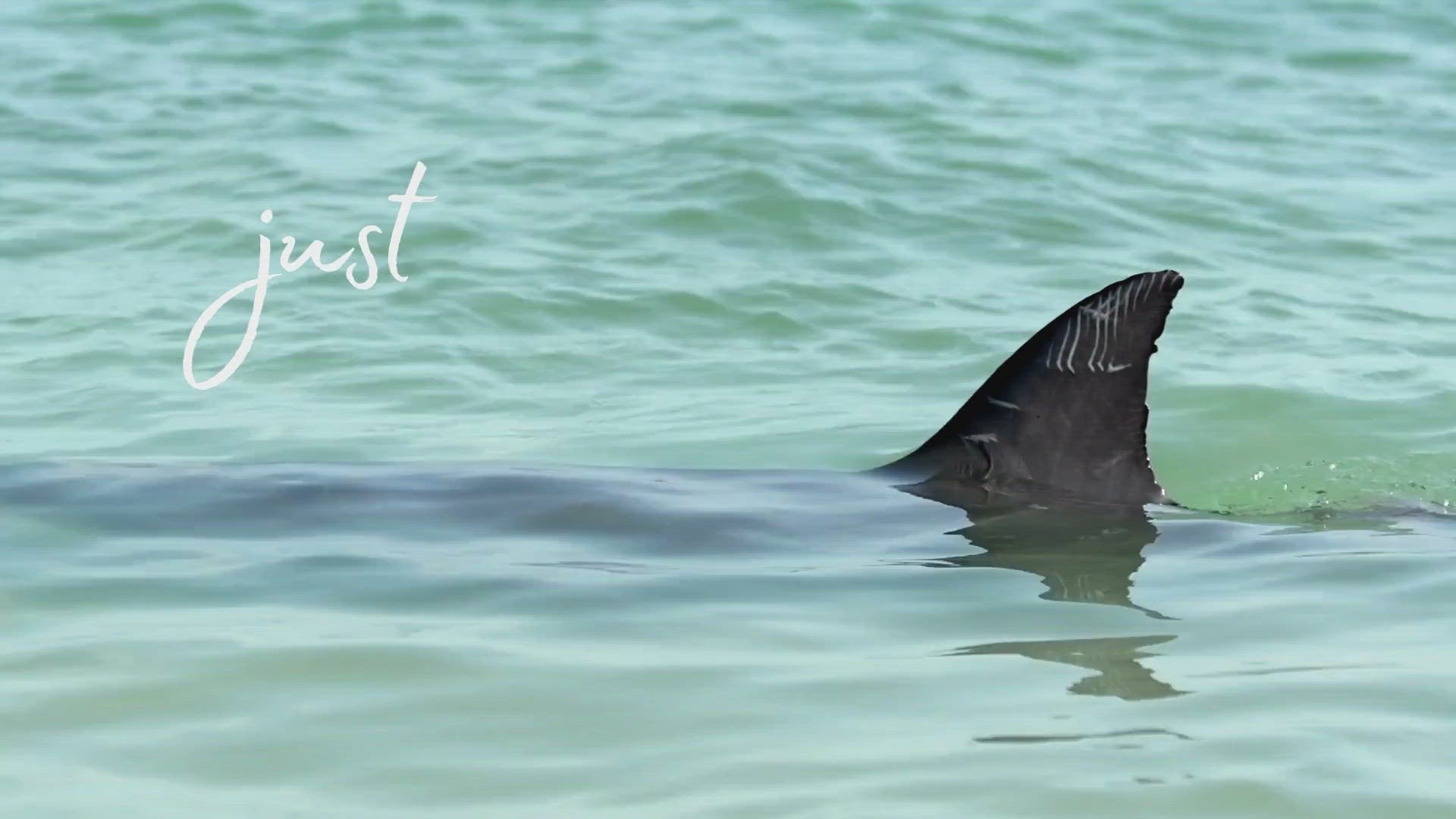 Playlist thumbnail for Test