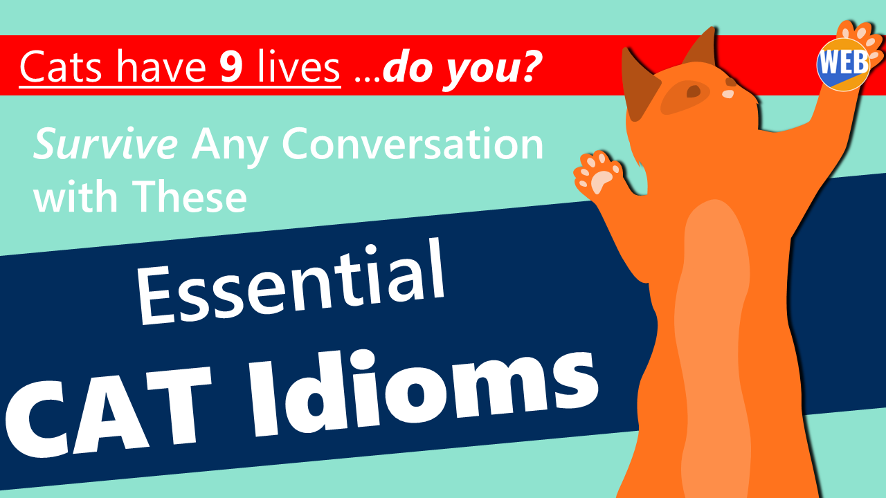 'Video thumbnail for Popular Idioms With Cats - Idioms Rule Our Language!'