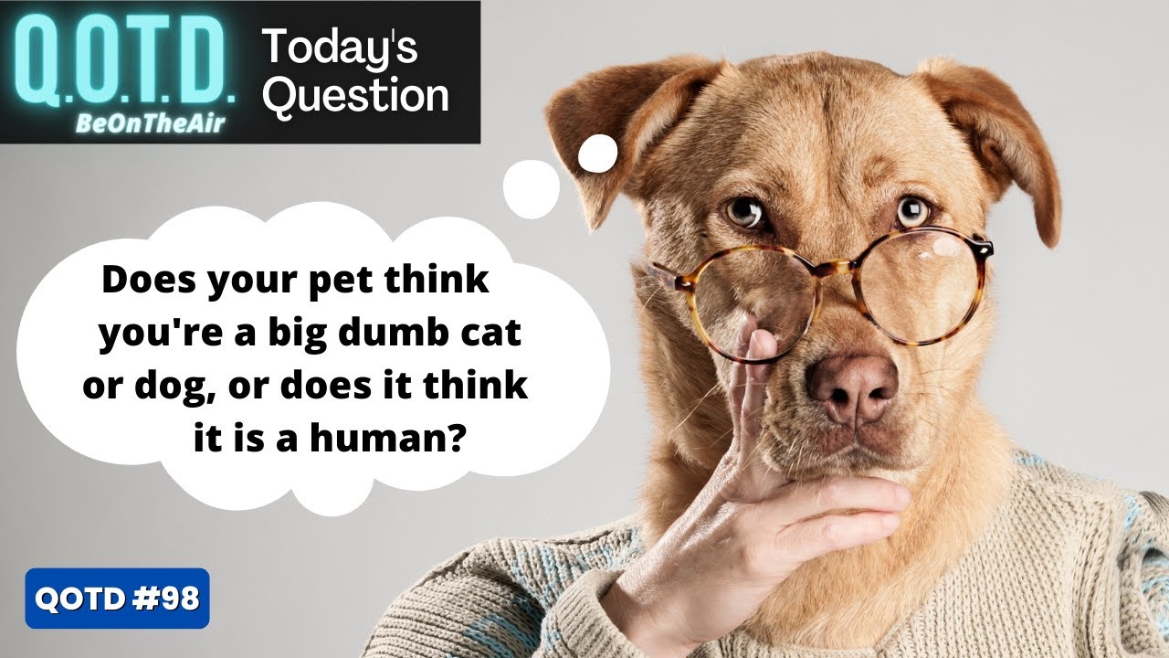 Video thumbnail for Question of the Day for February 22nd 2023 | Record your own answer, be on the air!