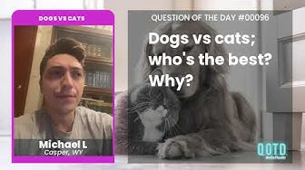 Video thumbnail for Michael loves that cats can be independent or cuddly. The complete package!