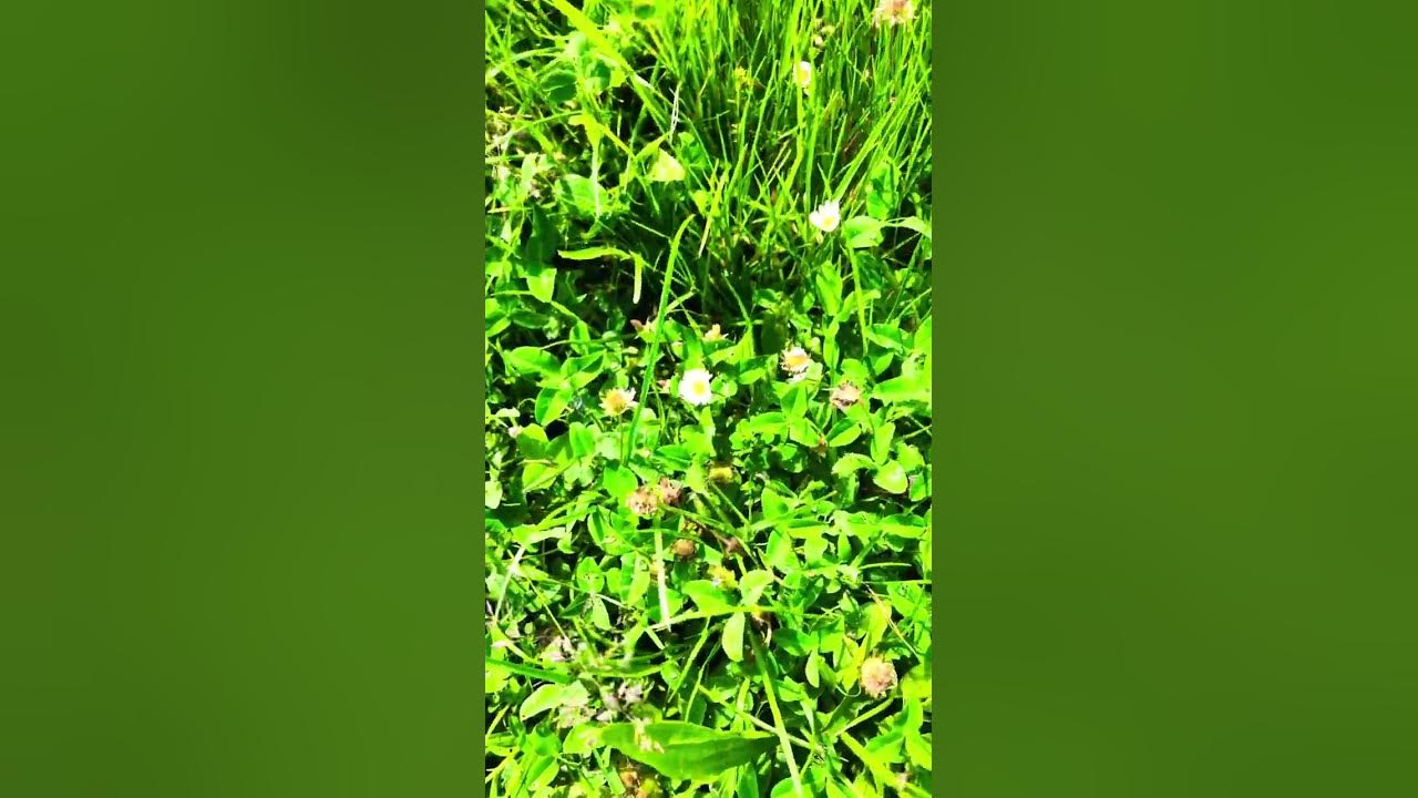 'Video thumbnail for Active ce pouvoir qui est en toi pour être entouré de Miracles'