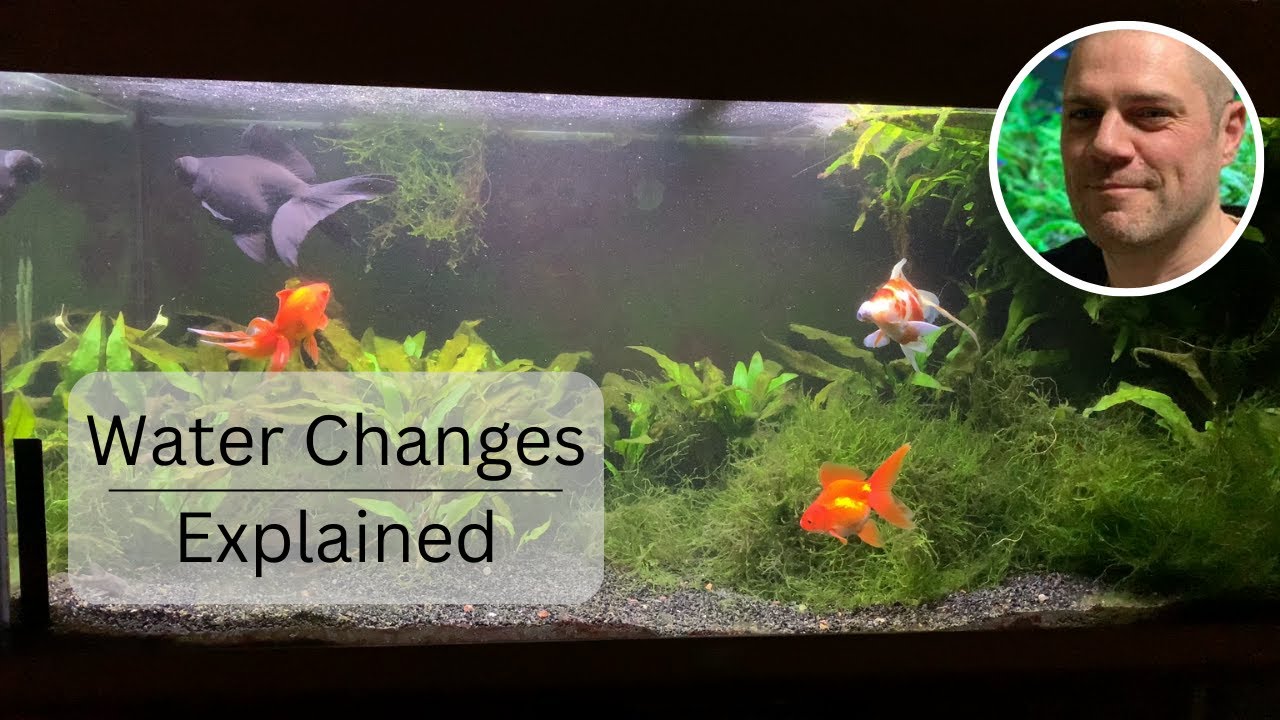 9 goldfish tank outlet size