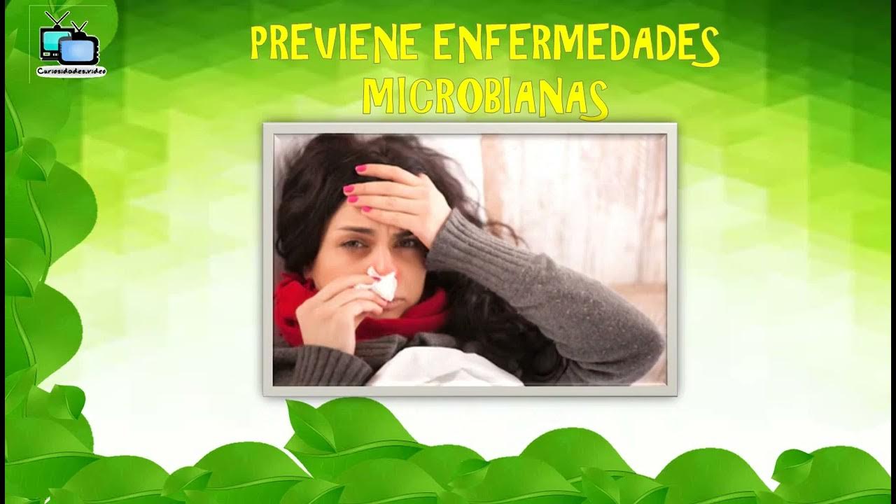 'Video thumbnail for La guía completa del TÉ VERDE, cómo puede mejorar su salud'