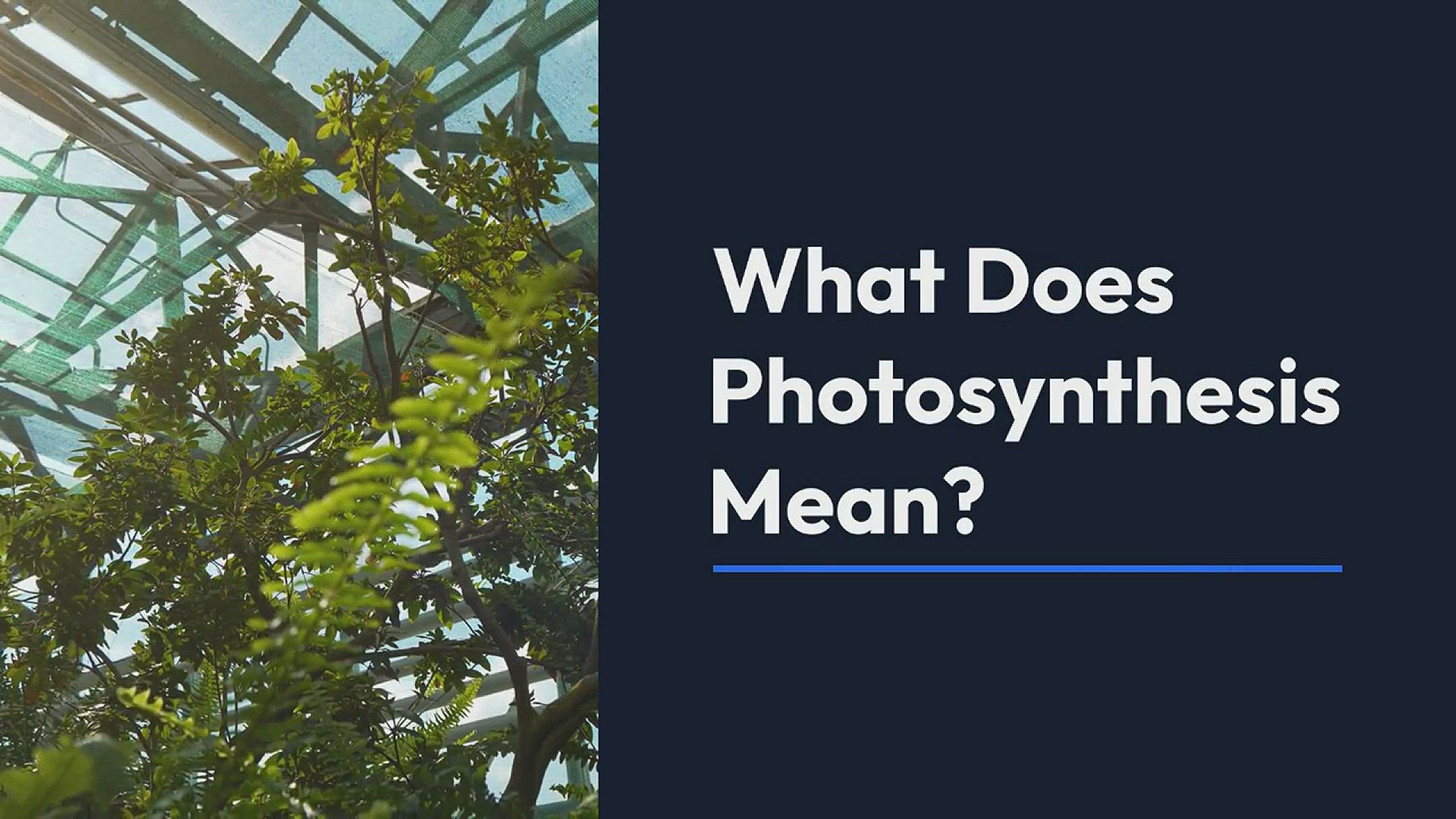 'Video thumbnail for Photosynthesis Equation - razmonweb'