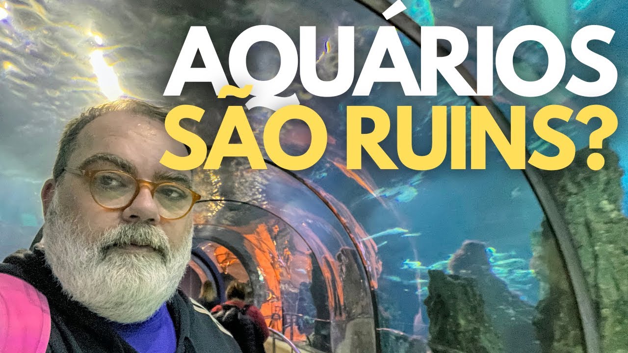 Video thumbnail for AQUÁRIO MARINHO EM BARCELONA - POR QUE AQUÁRIO