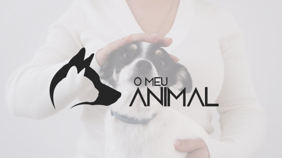 'Video thumbnail for Bem-vindo a O Meu Animal'