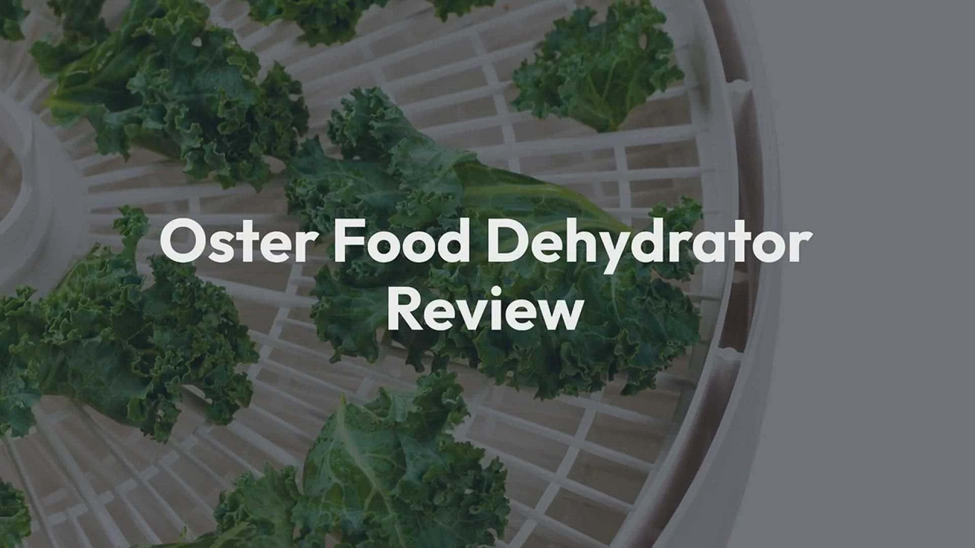 Cuisinart Food dehydrator DHR-20A Review, Food dehydrator