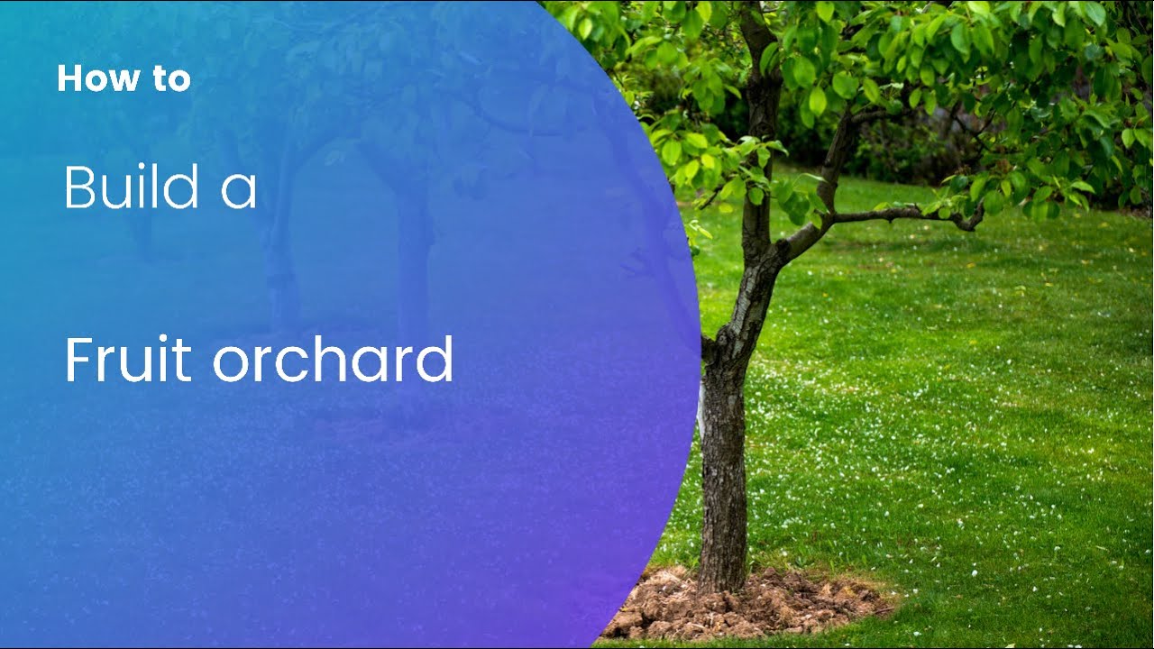 'Video thumbnail for DIY Fruit Garden: Build Your Own Orchard and Raised Beds!'