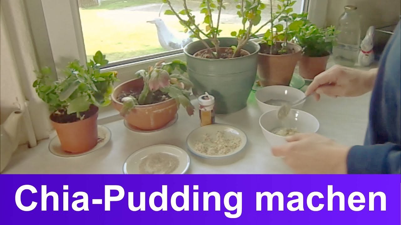 'Video thumbnail for Chia-Pudding Rezept mit Mandeln & Vanille selber machen'