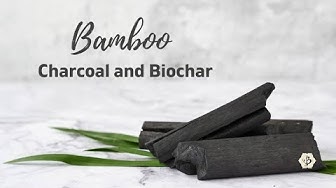 'Video thumbnail for Bamboo and Biochar'