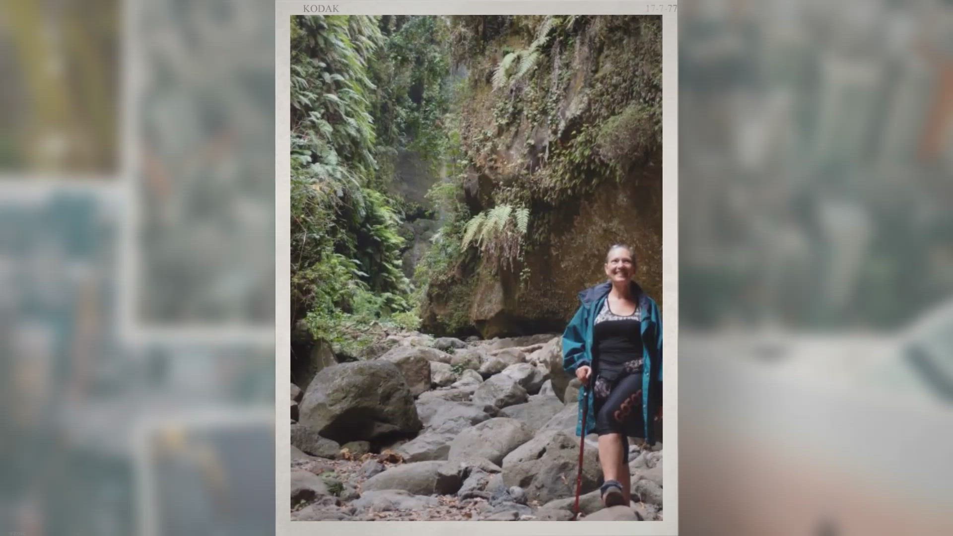 'Video thumbnail for Ins grüne Herzstück von La Palma – La Palma NEWS'
